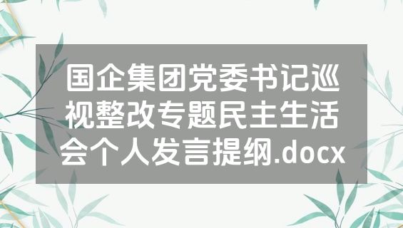 国企集团党委书记巡视整改专题民主生活会个人发言提纲.docx