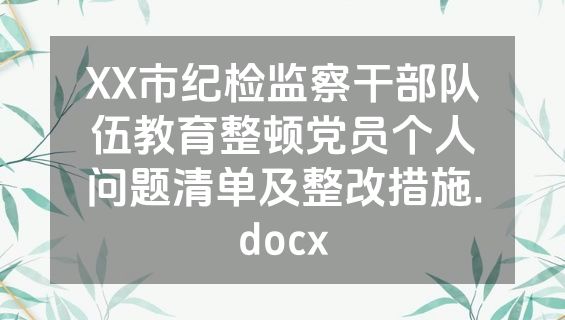 XX市纪检监察干部队伍教育整顿党员个人问题清单及整改措施.docx