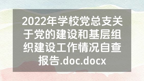 2022年学校党总支关于党的建设和基层组织建设工作情况自查报告.doc.docx