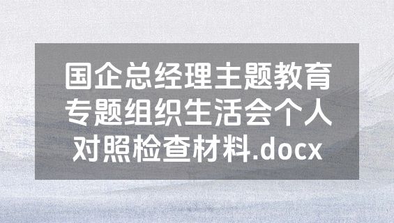 国企总经理主题教育专题组织生活会个人对照检查材料.docx