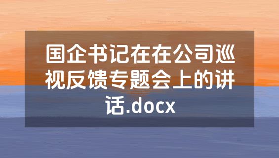 国企书记在在公司巡视反馈专题会上的讲话.docx