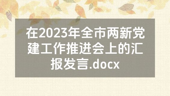 在2023年全市两新党建工作推进会上的汇报发言.docx