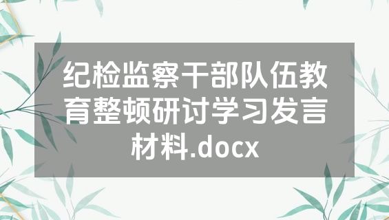 纪检监察干部队伍教育整顿研讨学习发言材料.docx