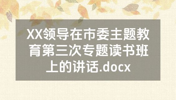 XX领导在市委主题教育第三次专题读书班上的讲话.docx