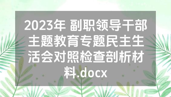 2023年 副职领导干部主题教育专题民主生活会对照检查剖析材料.docx