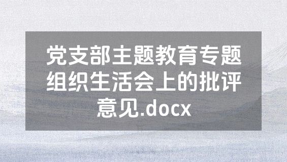党支部主题教育专题组织生活会上的批评意见.docx