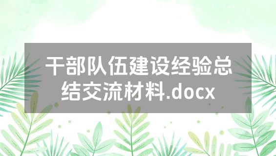 干部队伍建设经验总结交流材料.docx