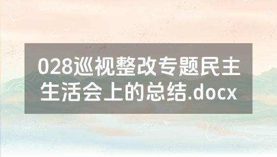 028巡视整改专题民主生活会上的总结.docx