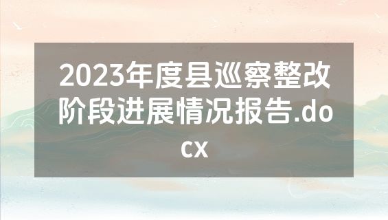 2023年度县巡察整改阶段进展情况报告.docx