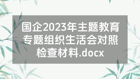 国企2023年主题教育专题组织生活会对照检查材料.docx
