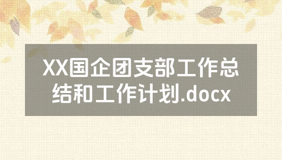 XX国企团支部工作总结和工作计划.docx