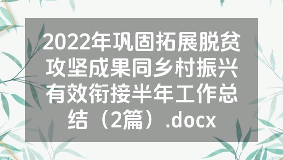 2022年巩固拓展脱贫攻坚成果同乡村振兴有效衔接半年工作总结（2篇）.docx