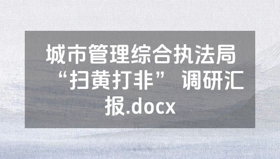 城市管理综合执法局“扫黄打非” 调研汇报.docx