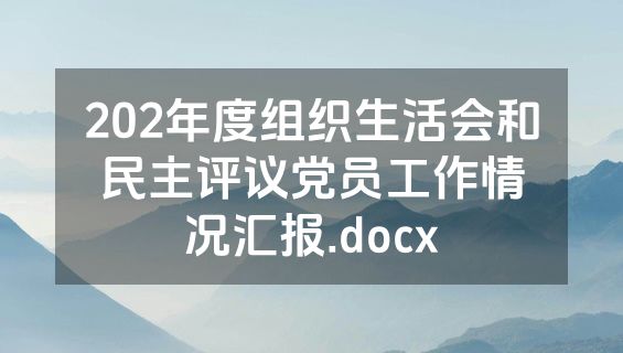 202年度组织生活会和民主评议党员工作情况汇报.docx