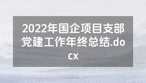 2022年国企项目支部党建工作年终总结.docx