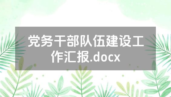 党务干部队伍建设工作汇报.docx