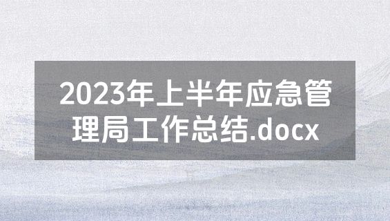 2023年上半年应急管理局工作总结.docx