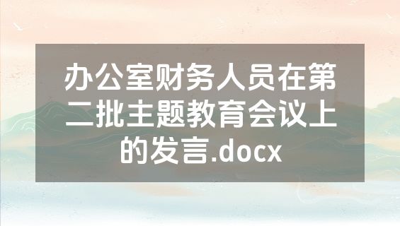 办公室财务人员在第二批主题教育会议上的发言.docx