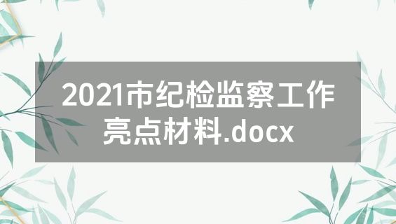 2021市纪检监察工作亮点材料.docx