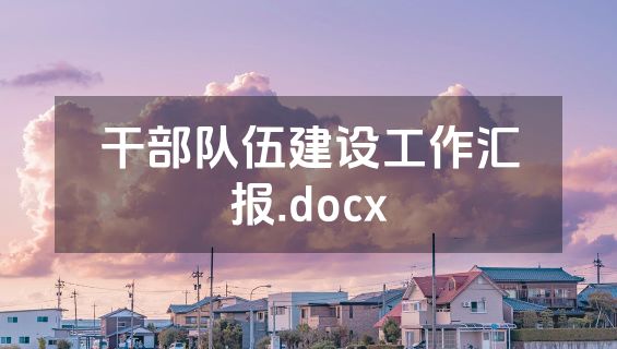 干部队伍建设工作汇报.docx