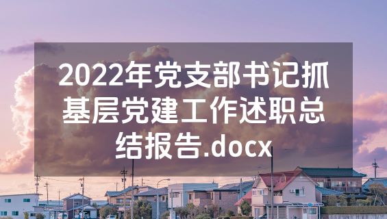 2022年党支部书记抓基层党建工作述职总结报告.docx
