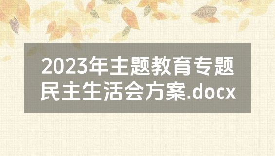 2023年主题教育专题民主生活会方案.docx