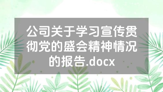 公司关于学习宣传贯彻党的盛会精神情况的报告.docx