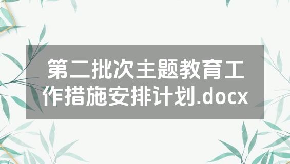 第二批次主题教育工作措施安排计划.docx