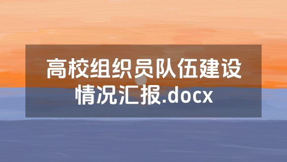 高校组织员队伍建设情况汇报.docx