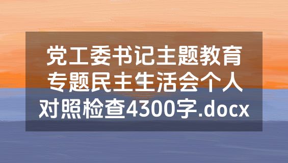 党工委书记主题教育专题民主生活会个人对照检查4300字.docx