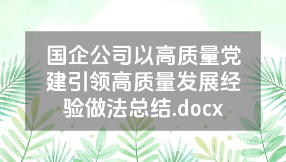 国企公司以高质量党建引领高质量发展经验做法总结.docx