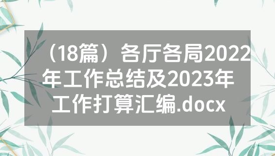 （18篇）各厅各局2022年工作总结及2023年工作打算汇编.docx