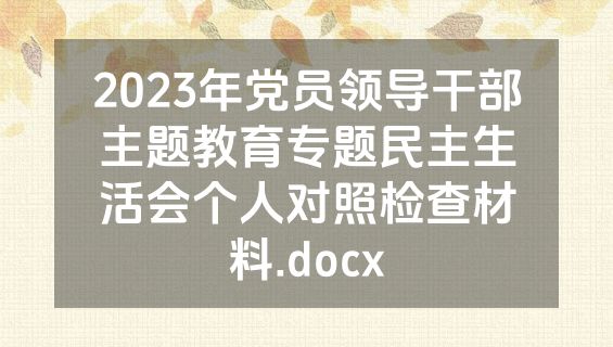 2023年党员领导干部主题教育专题民主生活会个人对照检查材料.docx