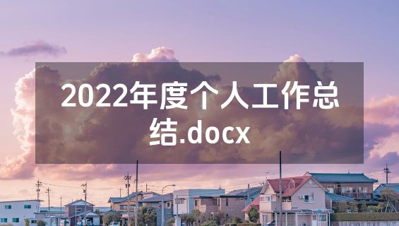 2022年度个人工作总结.docx