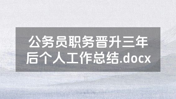公务员职务晋升三年后个人工作总结.docx