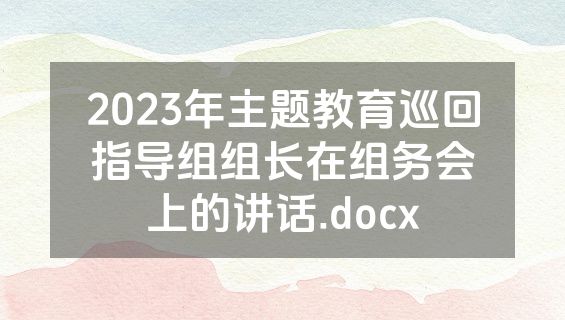2023年主题教育巡回指导组组长在组务会上的讲话.docx