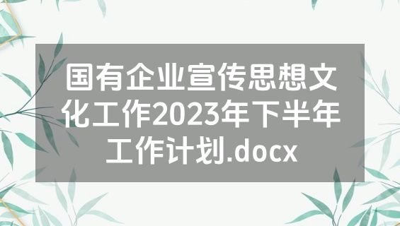 国有企业宣传思想文化工作2023年下半年工作计划.docx