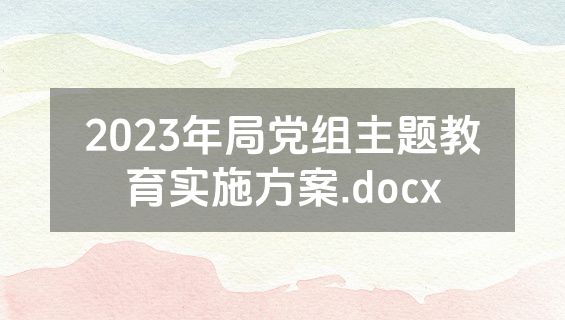 2023年局党组主题教育实施方案.docx