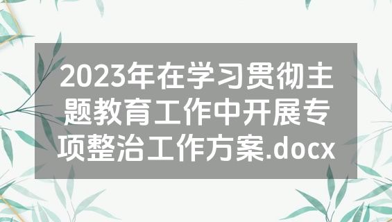 2023年在学习贯彻主题教育工作中开展专项整治工作方案.docx