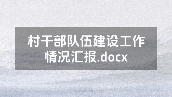 村干部队伍建设工作情况汇报.docx
