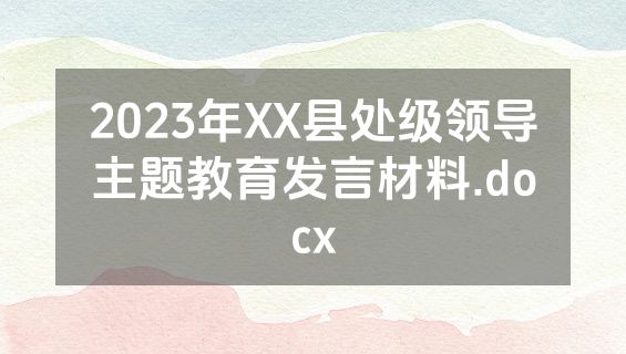 2023年XX县处级领导主题教育发言材料.docx