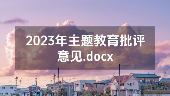 2023年主题教育批评意见.docx