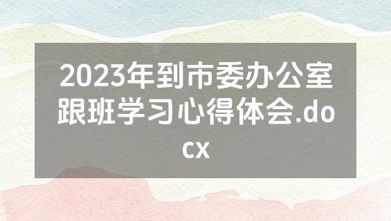 2023年到市委办公室跟班学习心得体会.docx