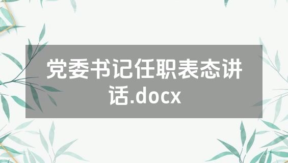 党委书记任职表态讲话.docx