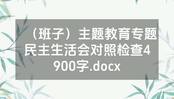 （班子）主题教育专题民主生活会对照检查4900字.docx