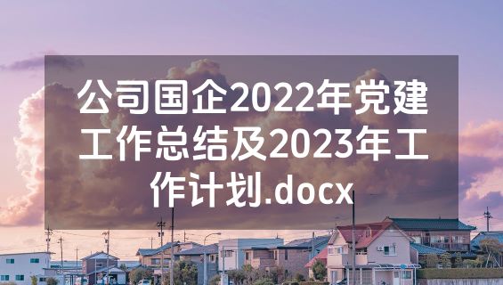 公司国企2022年党建工作总结及2023年工作计划.docx