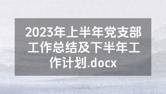 2023年上半年党支部工作总结及下半年工作计划.docx
