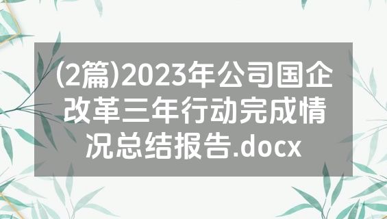 (2篇)2023年公司国企改革三年行动完成情况总结报告.docx