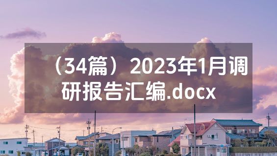 （34篇）2023年1月调研报告汇编.docx