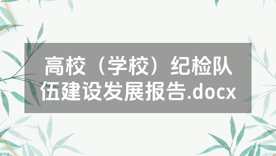 高校（学校）纪检队伍建设发展报告.docx